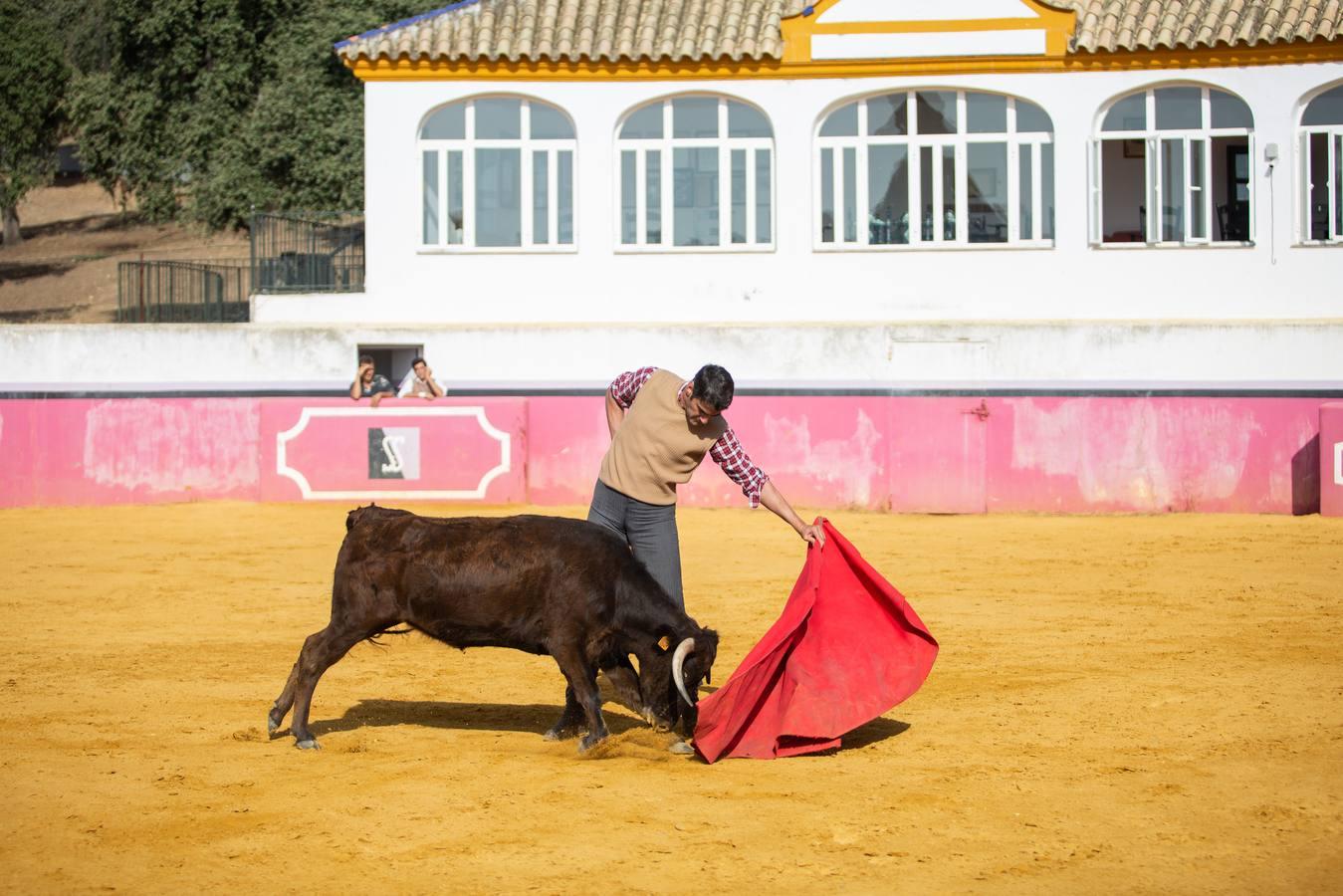 Jesulín de Ubrique: «Si volviera por dinero no torearía sólo una tarde»